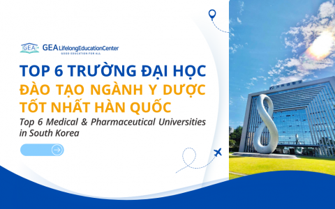 TOP 6 TRƯỜNG ĐẠI HỌC ĐÀO TẠO NGÀNH Y DƯỢC TỐT NHẤT HÀN QUỐC NĂM 2024